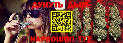 трава Ачхой-Мартан
