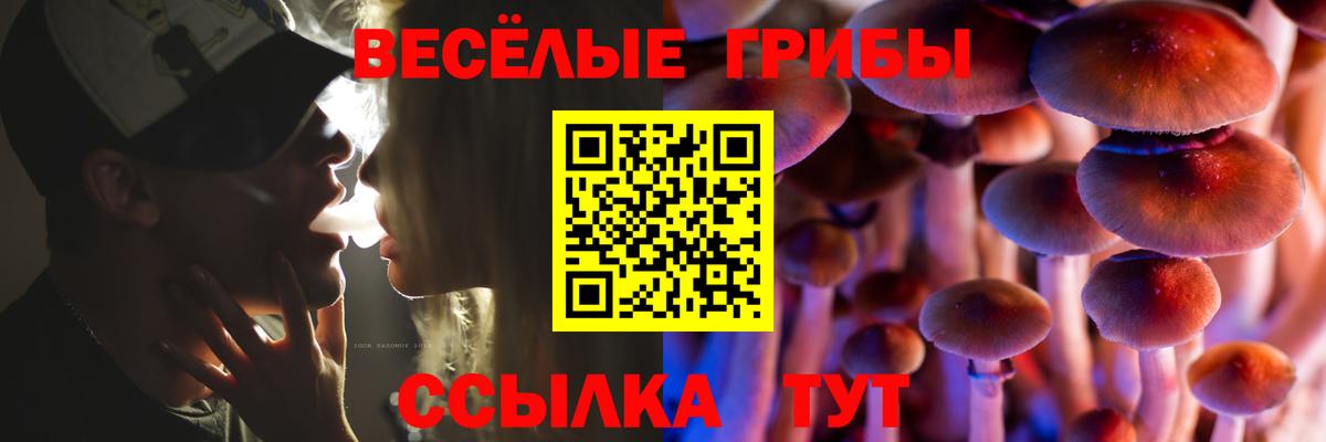 Галлюциногенные грибы GOLDEN TEACHER Анжеро-Судженск